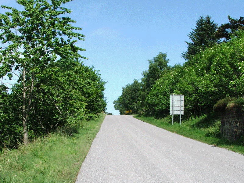 Rear View Mirror